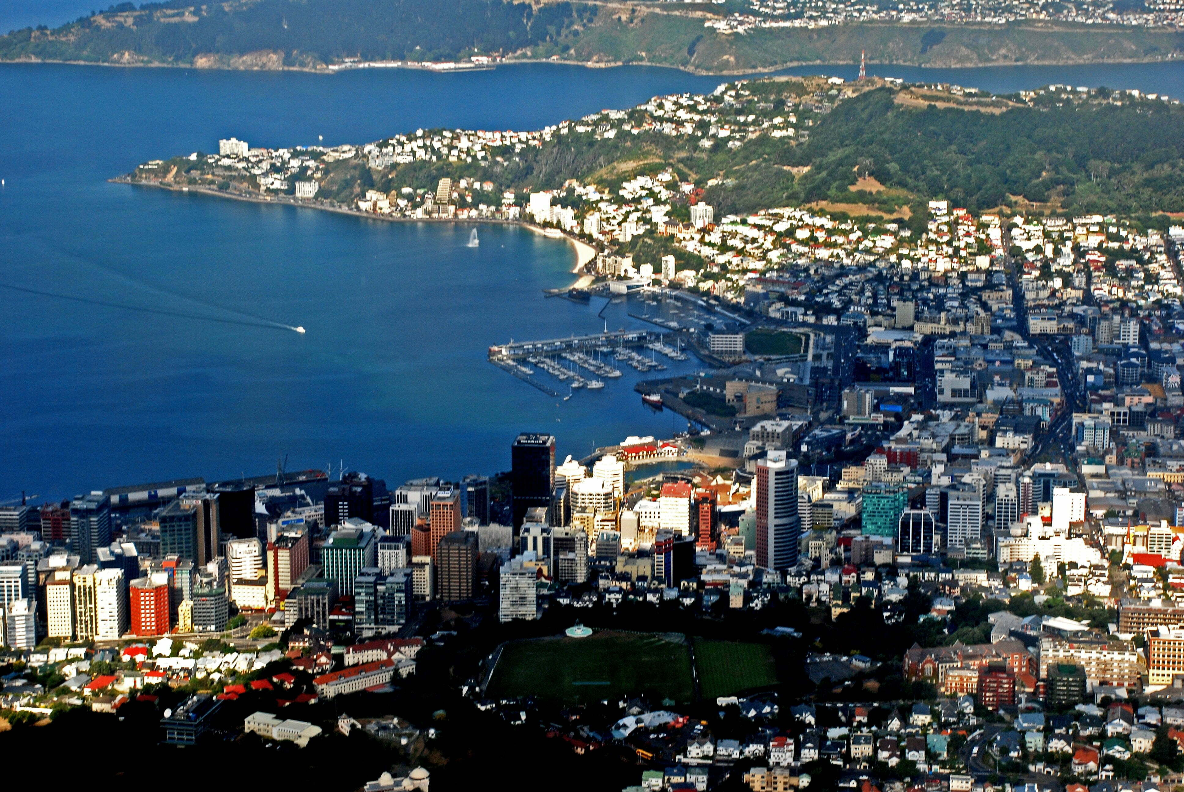New Zealand Offshore Financial Company 4