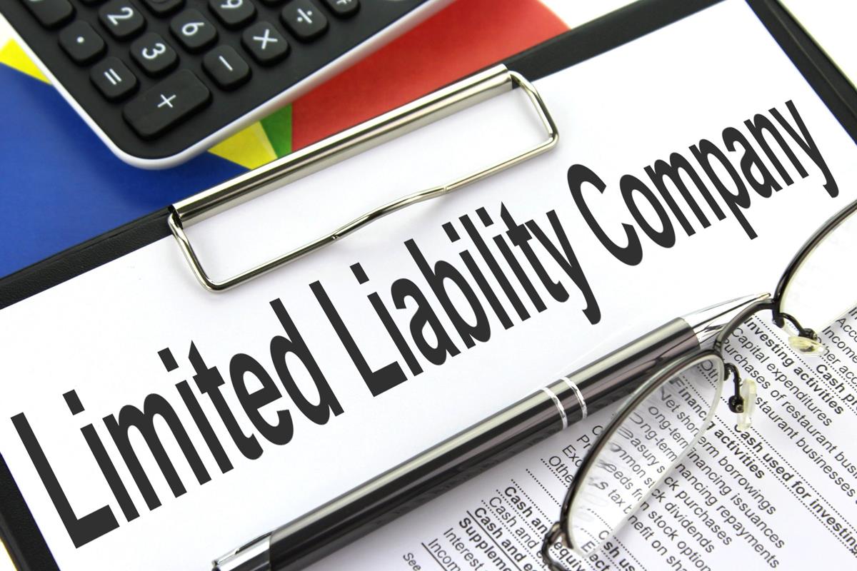 Do It Yourself Limited Liability Company Formation 2
