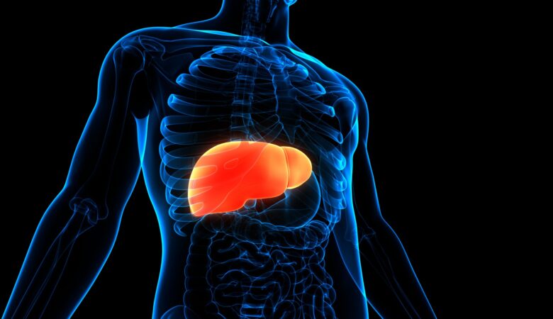 Simple Ways To Prevent Your Liver From Wrecking 10